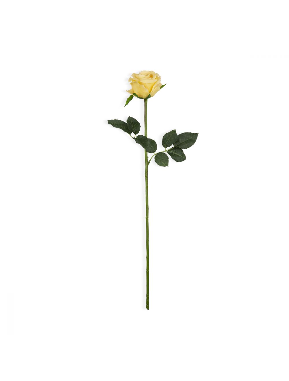 Rose Spray